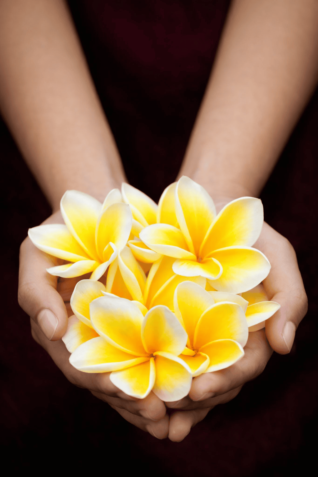 A importância da cadência semanal na psicoterapia